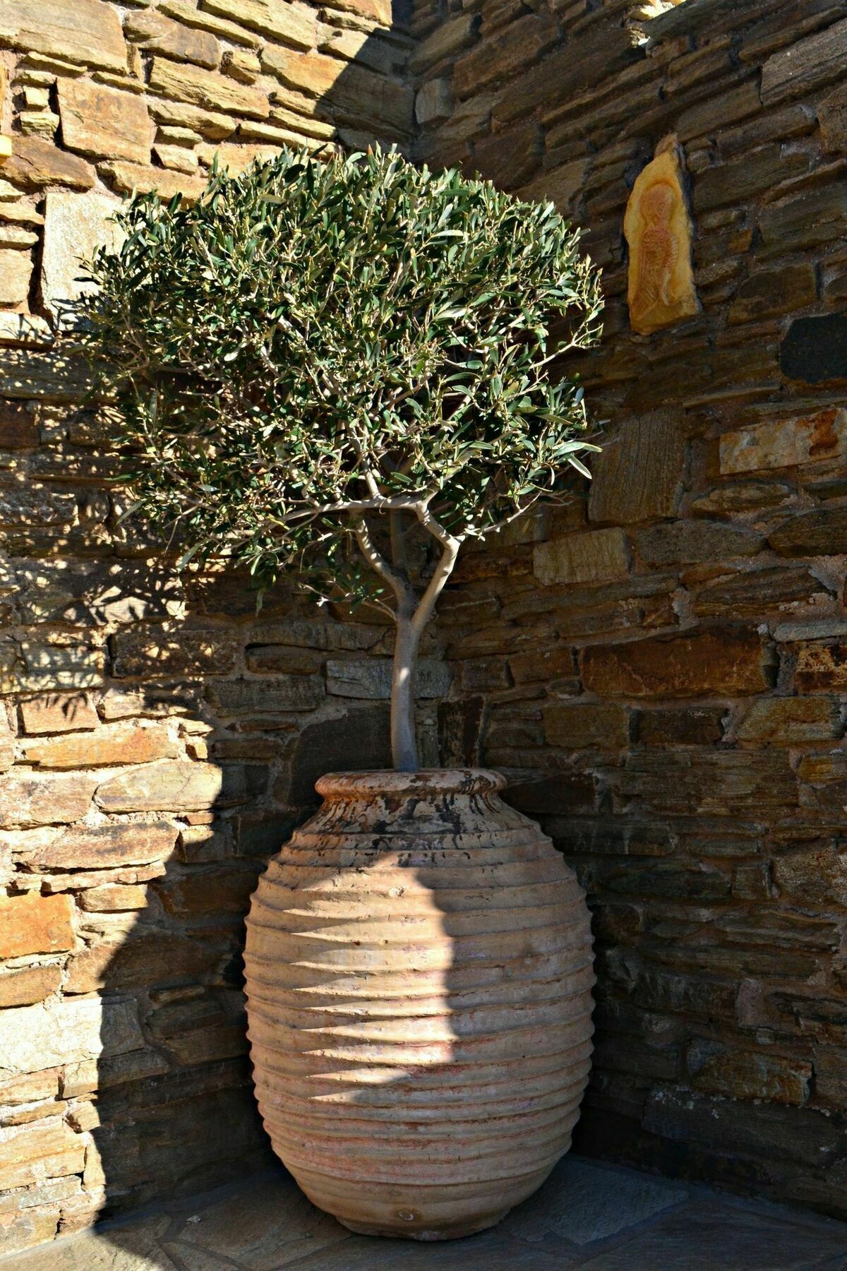 Tinos View Apartments Buitenkant foto